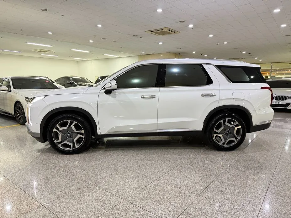 Hyundai Palisade — фото 6