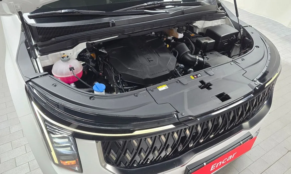 Kia Carnival — фото 10
