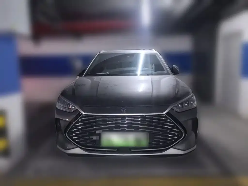 BYD PLUS New Energy — фото 3