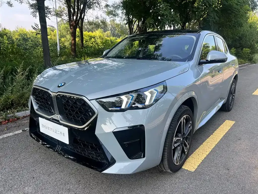 BMW X2 (Import) — фото 1