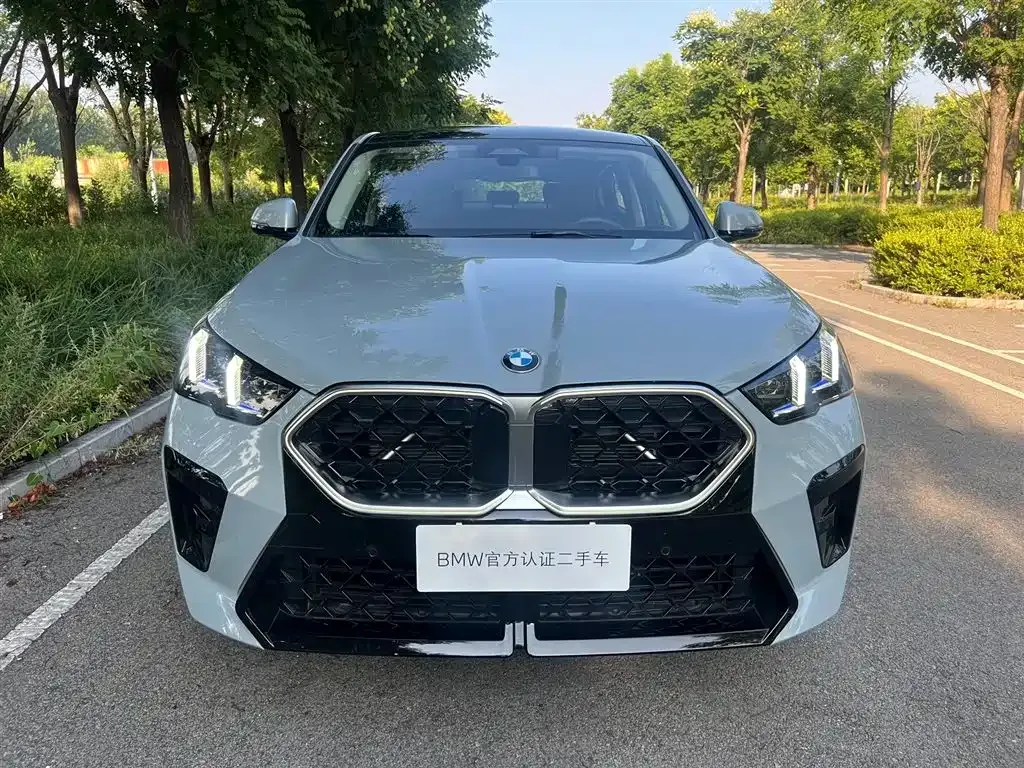 BMW X2 (Import) — фото 9