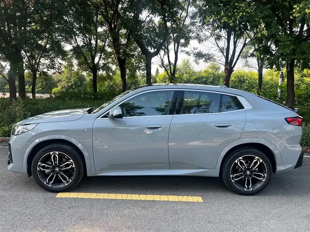 BMW X2 (Import) — фото 10