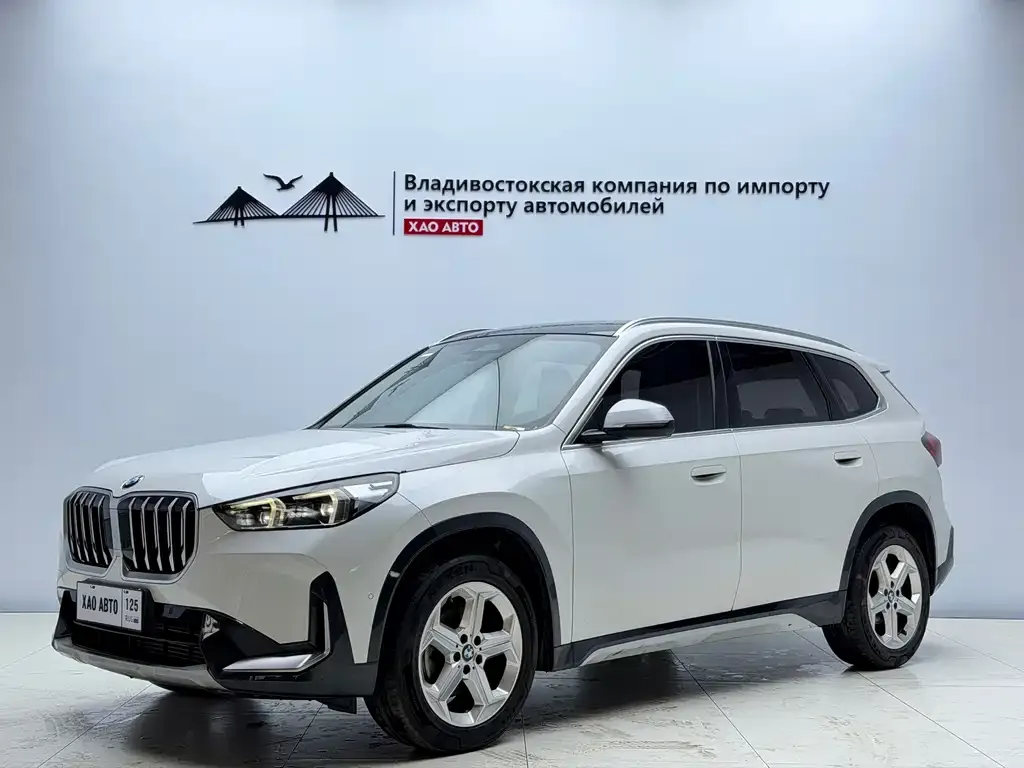 BMW X1 — фото 1