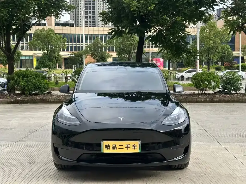 Tesla Model Y — фото 6