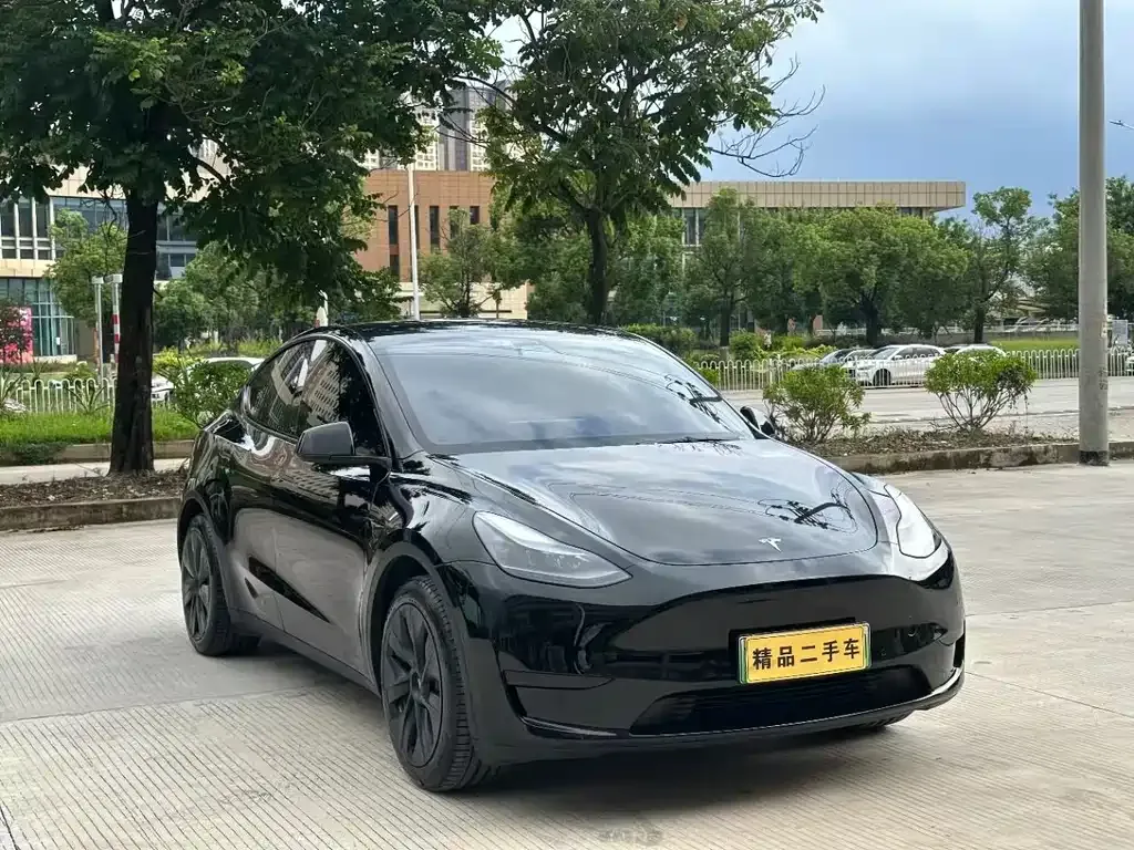 Tesla Model Y — фото 7