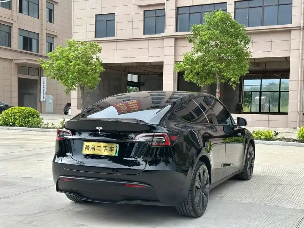 Tesla Model Y — фото 9