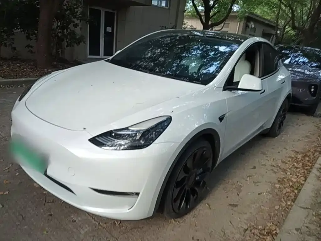 Tesla Model Y — фото 8