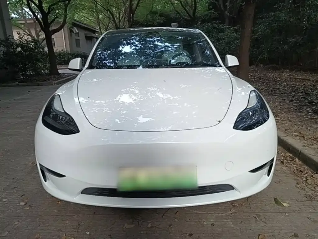 Tesla Model Y — фото 10