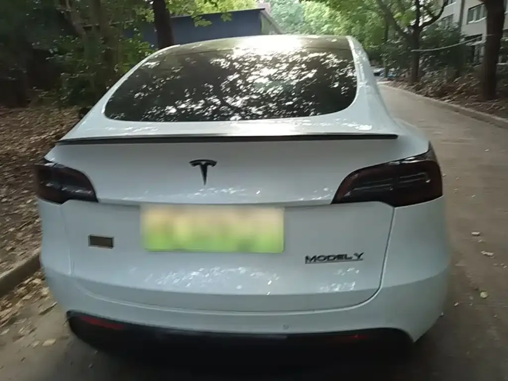 Tesla Model Y — фото 5