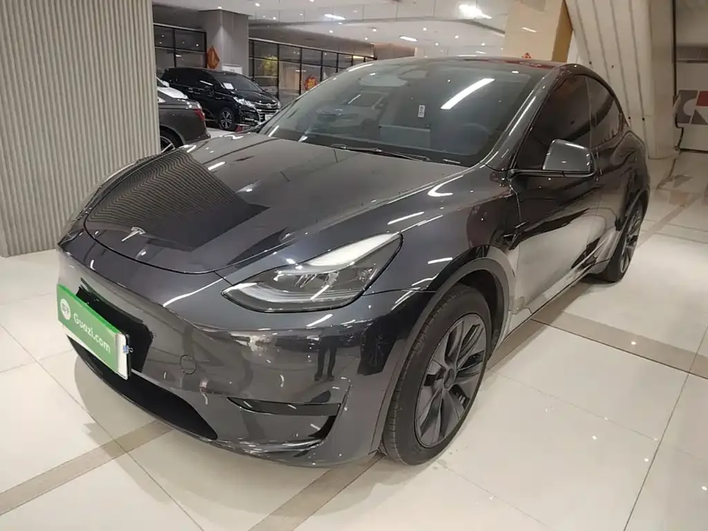 Tesla Model Y — фото 8