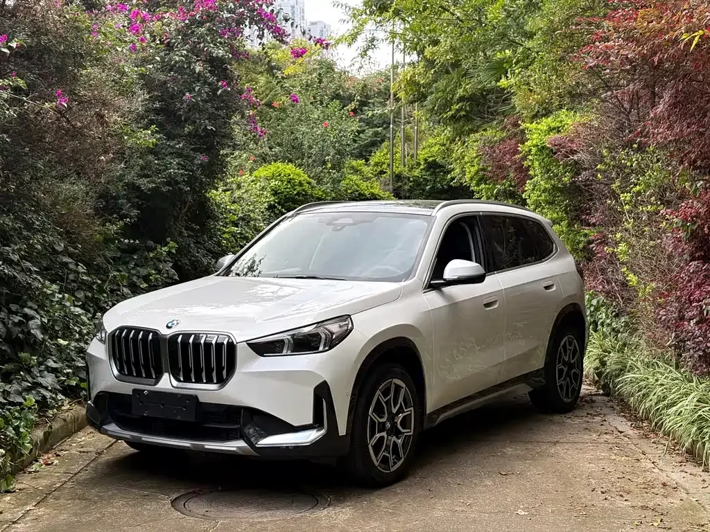 BMW X1 — фото 1