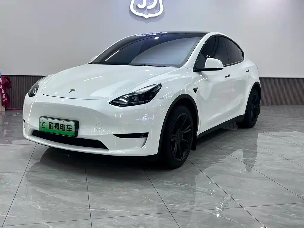 Tesla Model Y — фото 1