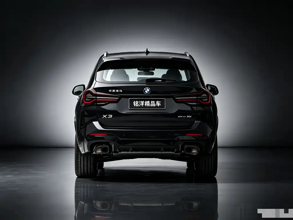 BMW X3 — фото 3