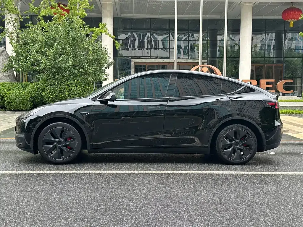 Tesla Model Y — фото 9