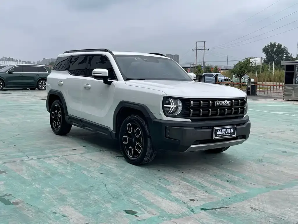 Haval Cool Dog — фото 10