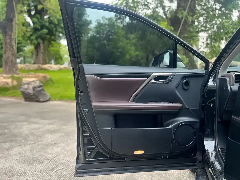 Lexus RX — фото 10