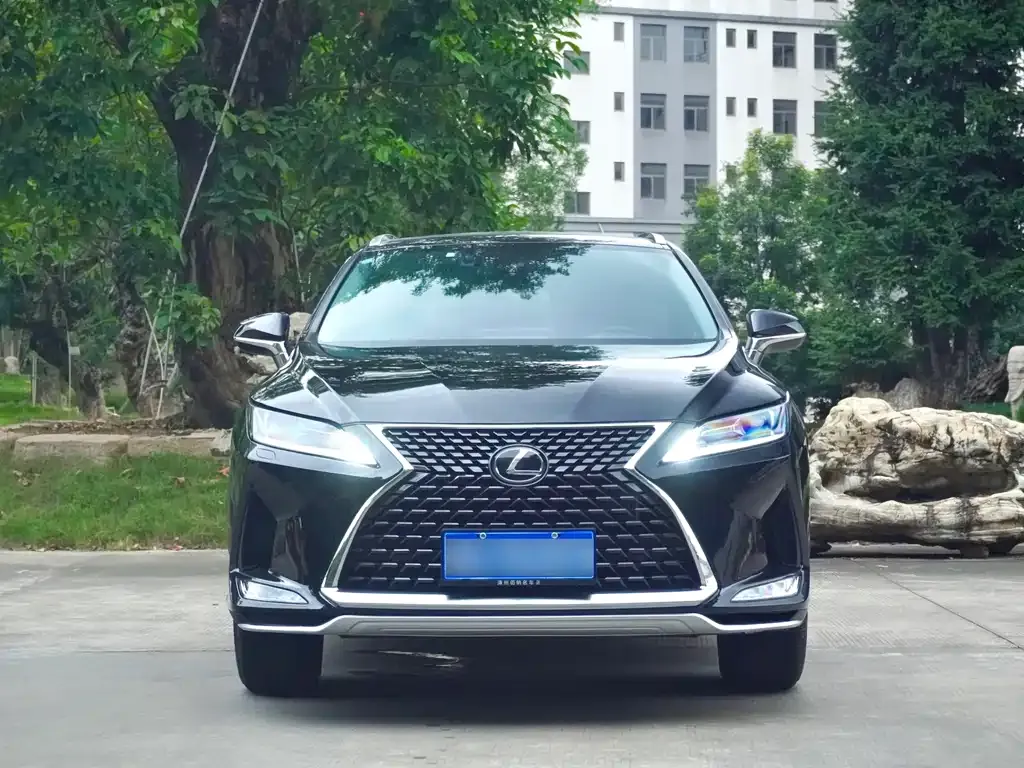 Lexus RX — фото 6