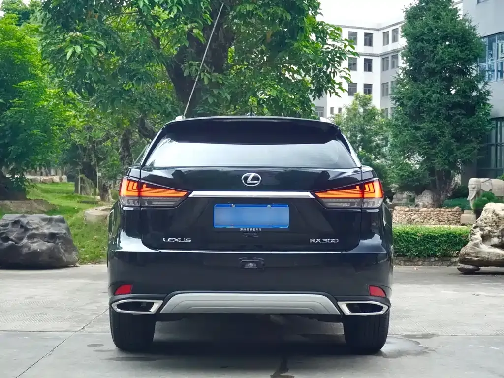 Lexus RX — фото 5