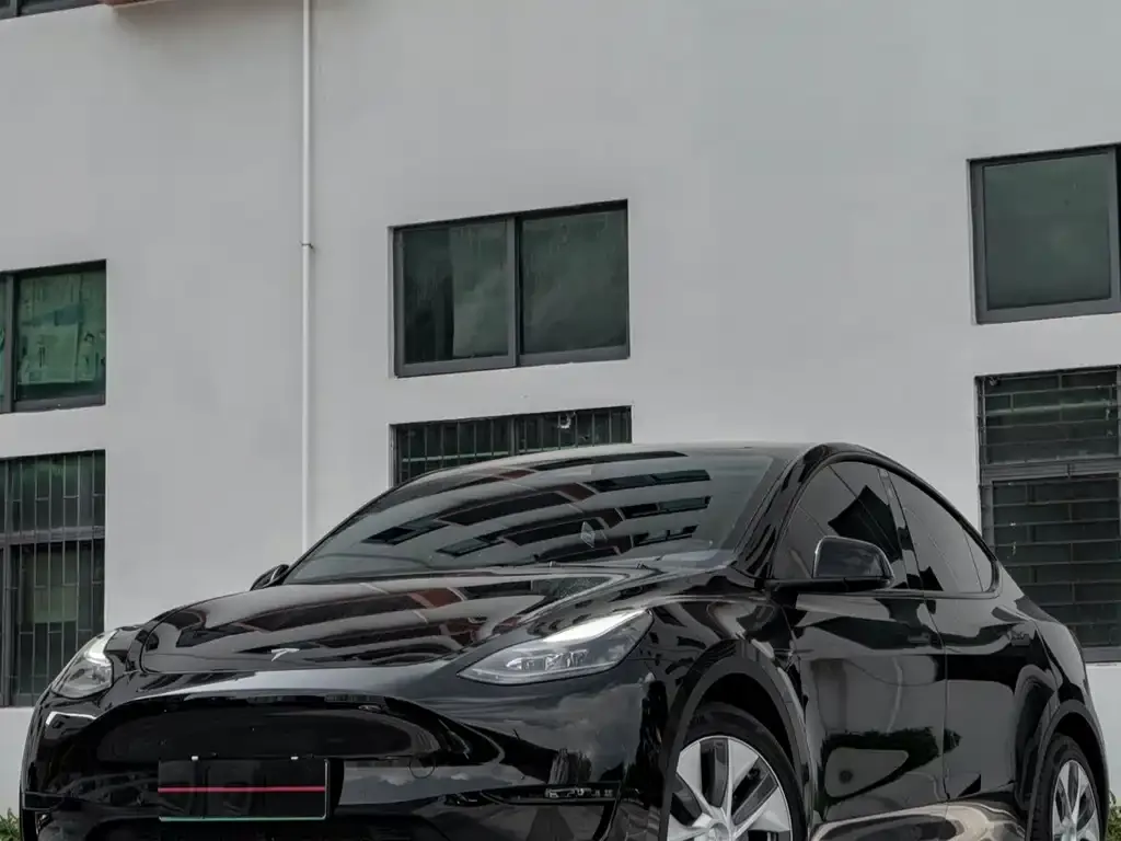 Tesla Model Y — фото 2