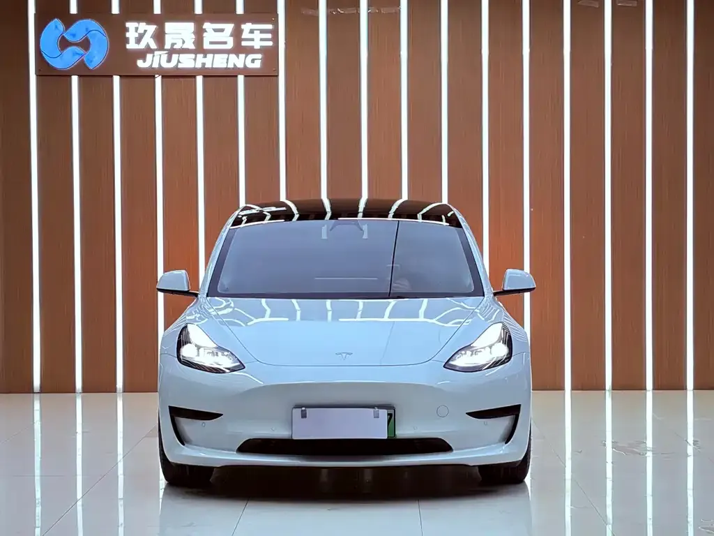 Tesla Model 3 — фото 2