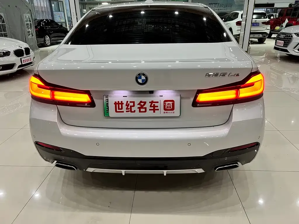 BMW 5 Series New Energy — фото 3