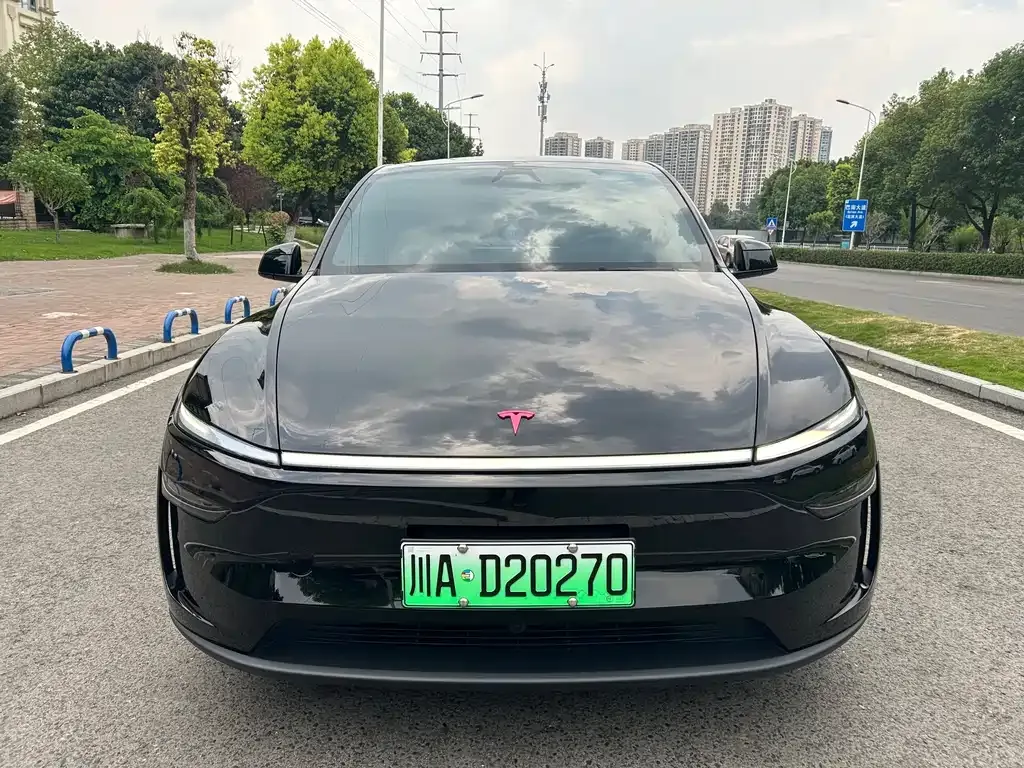 Tesla Model Y — фото 5