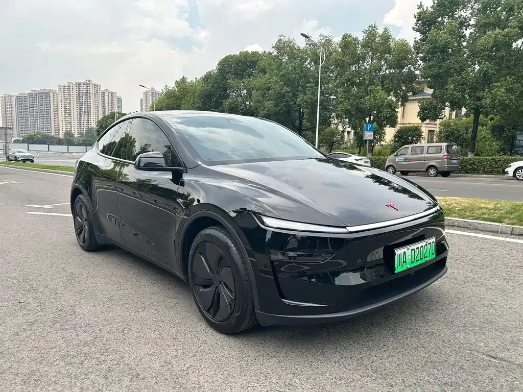 Tesla Model Y — фото 9