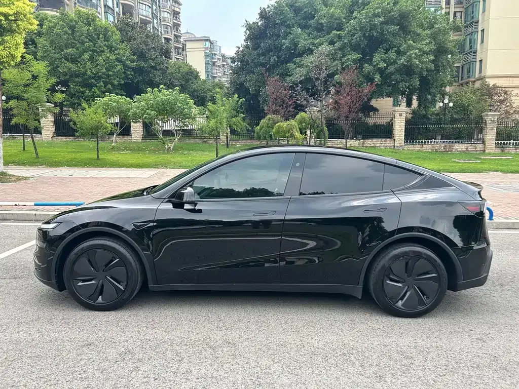 Tesla Model Y — фото 10