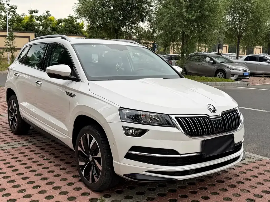 Skoda Karoq — фото 10