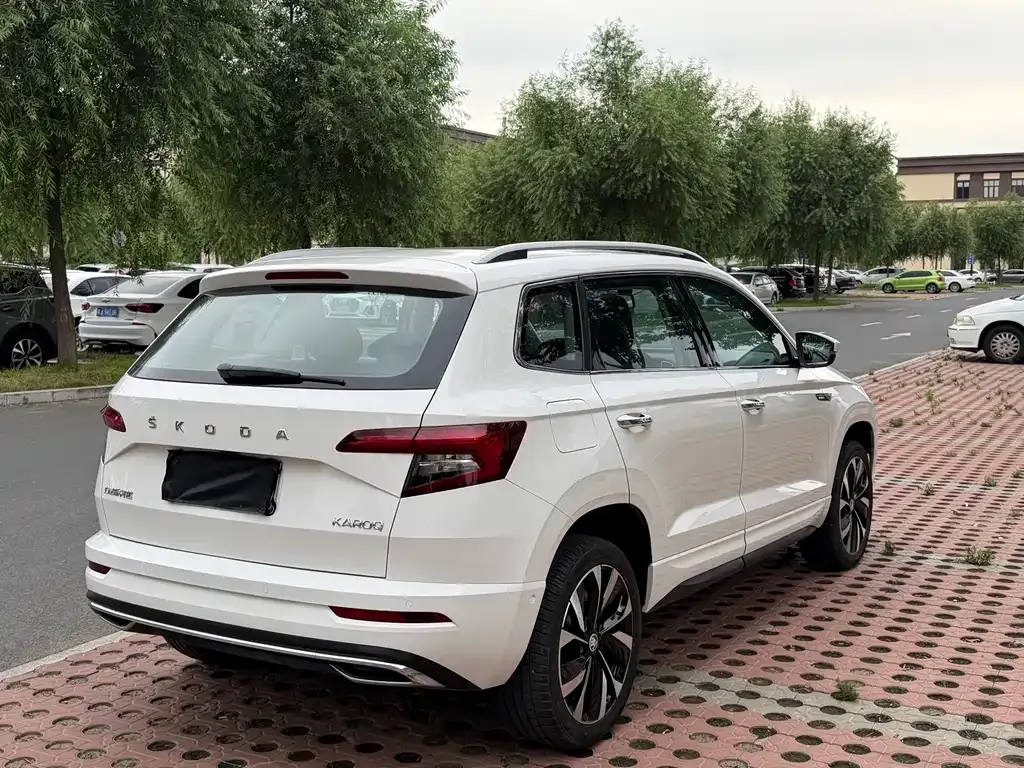 Skoda Karoq — фото 9