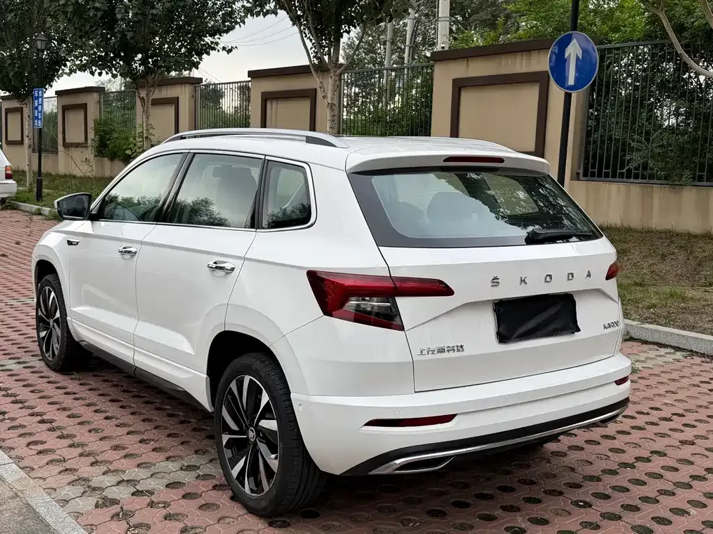 Skoda Karoq — фото 6