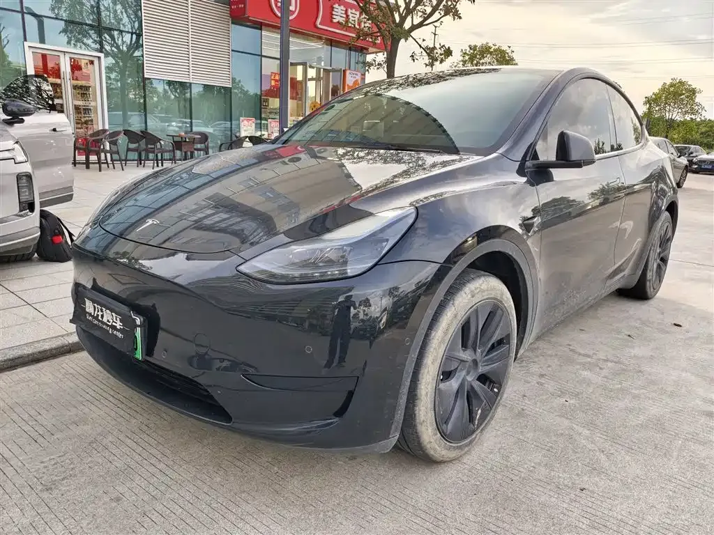 Tesla Model Y — фото 1