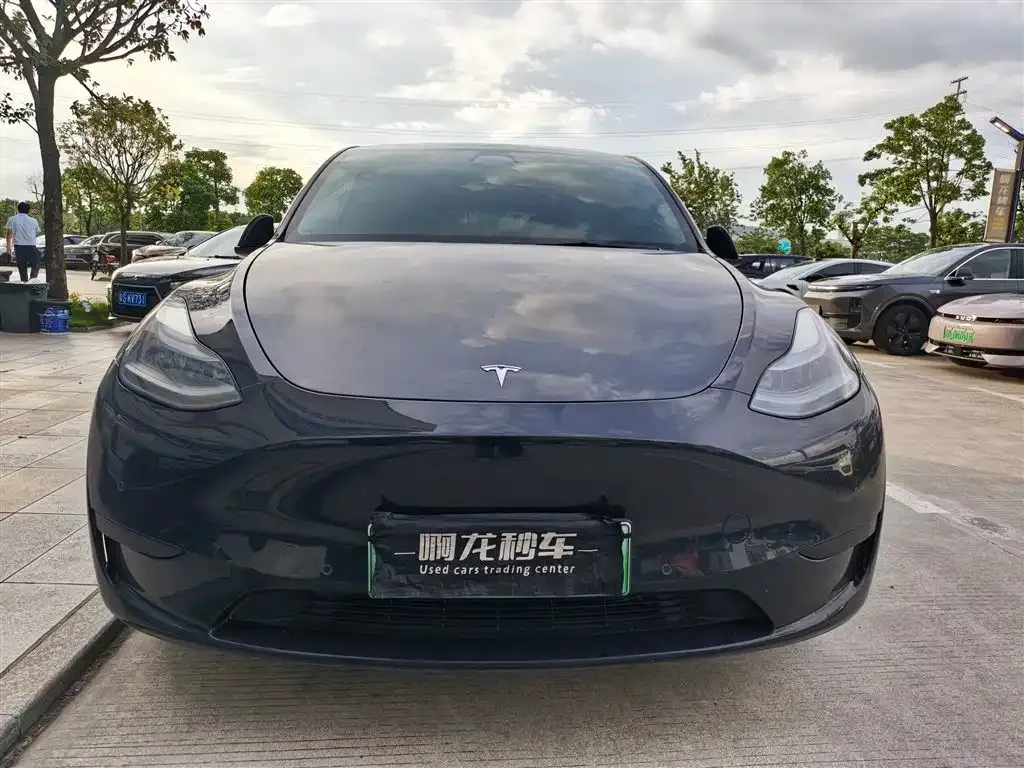 Tesla Model Y — фото 3
