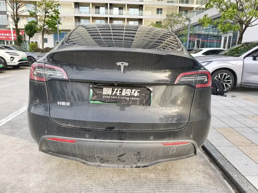 Tesla Model Y — фото 9