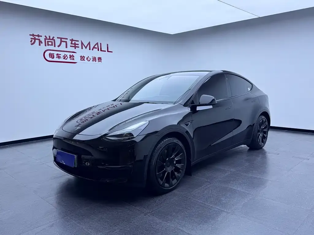 Tesla Model Y — фото 1