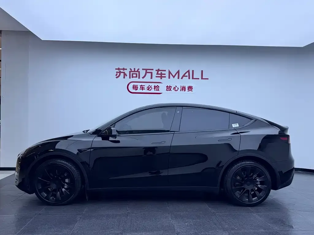 Tesla Model Y — фото 4