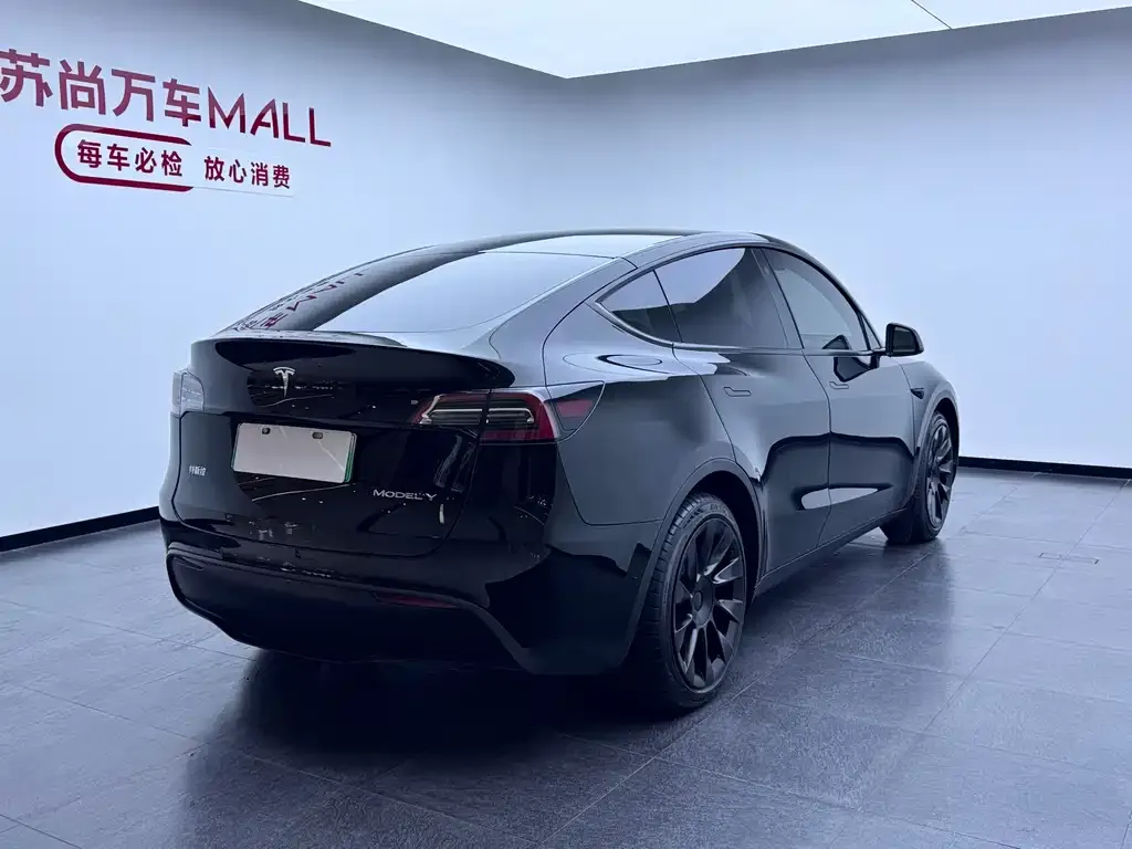 Tesla Model Y — фото 8