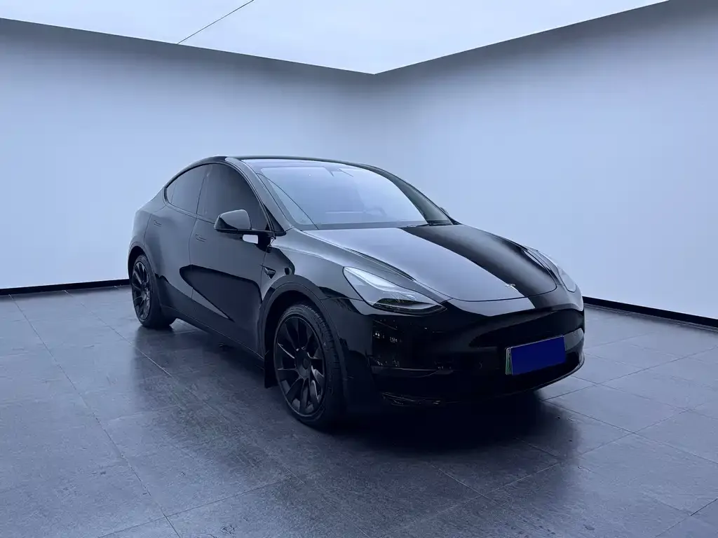 Tesla Model Y — фото 2