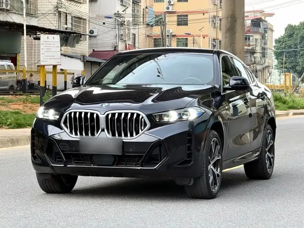 BMW X6 — фото 10