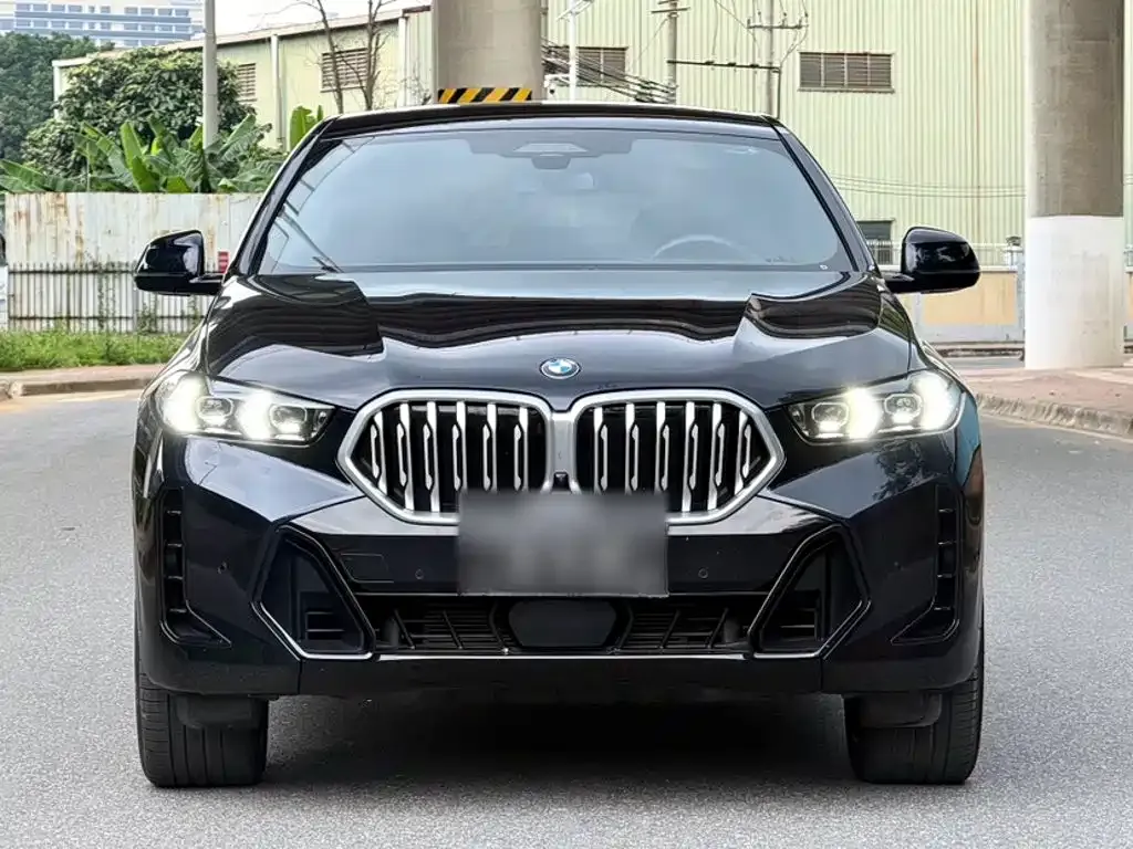 BMW X6 — фото 5