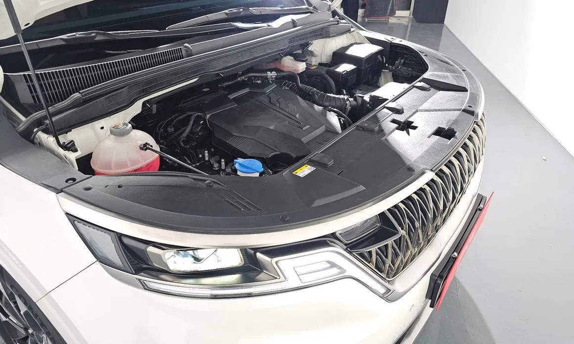 Kia Carnival — фото 10