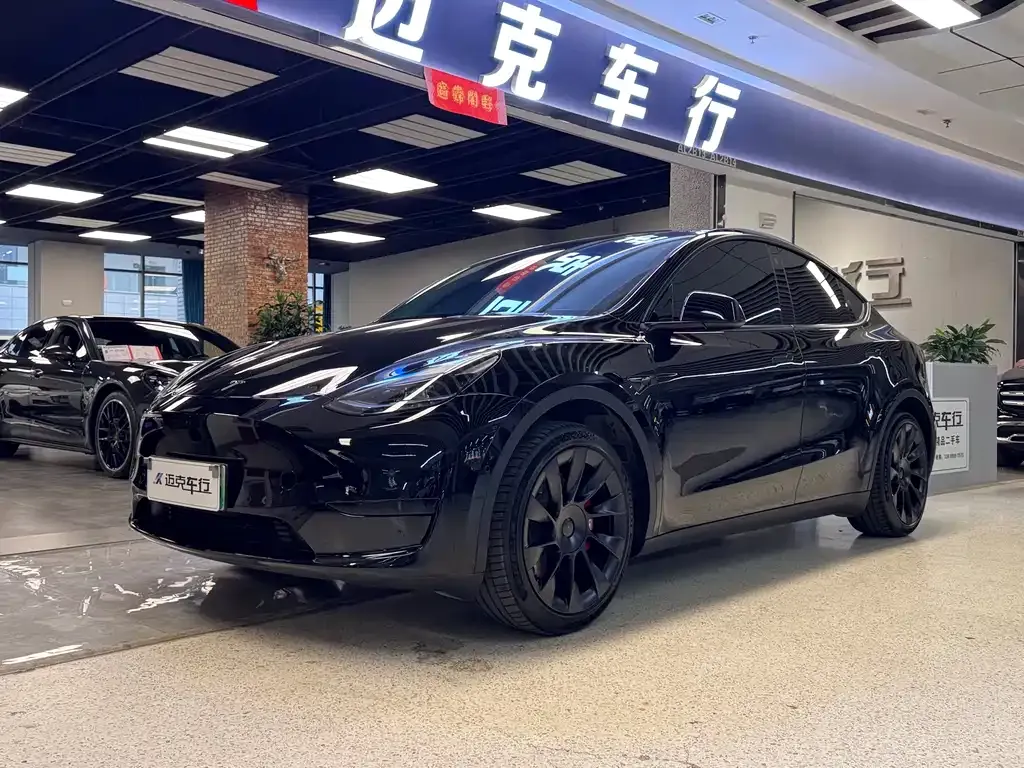 Tesla Model Y — фото 1