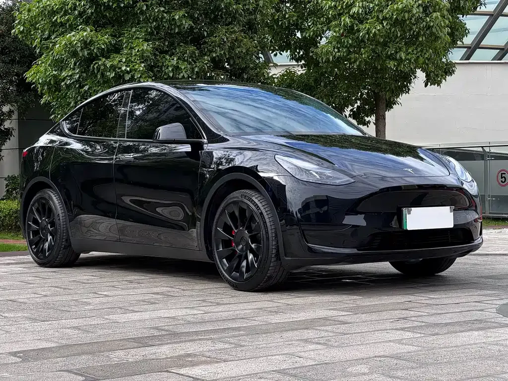 Tesla Model Y — фото 5