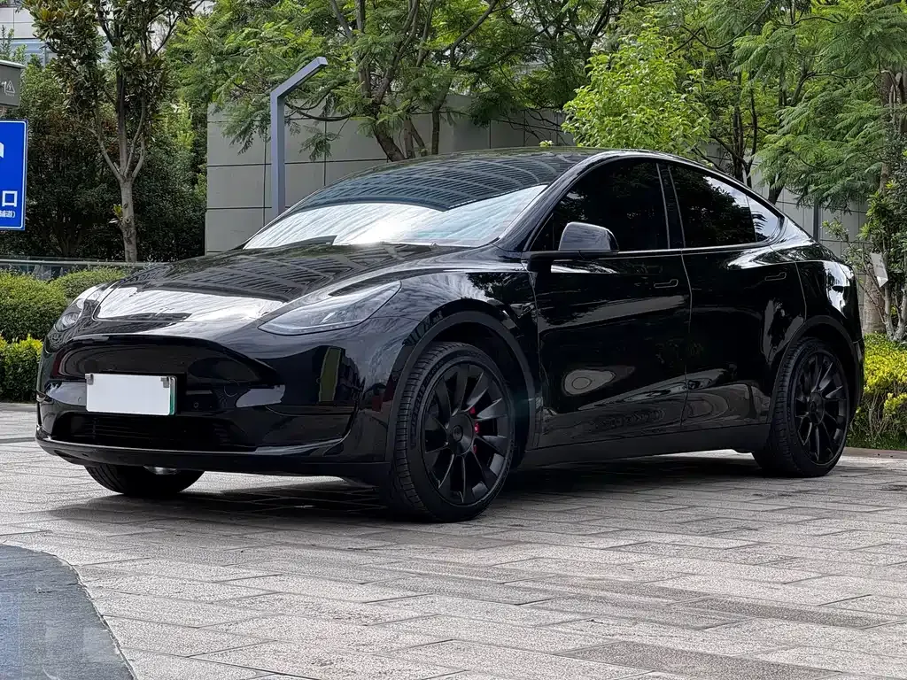 Tesla Model Y — фото 8