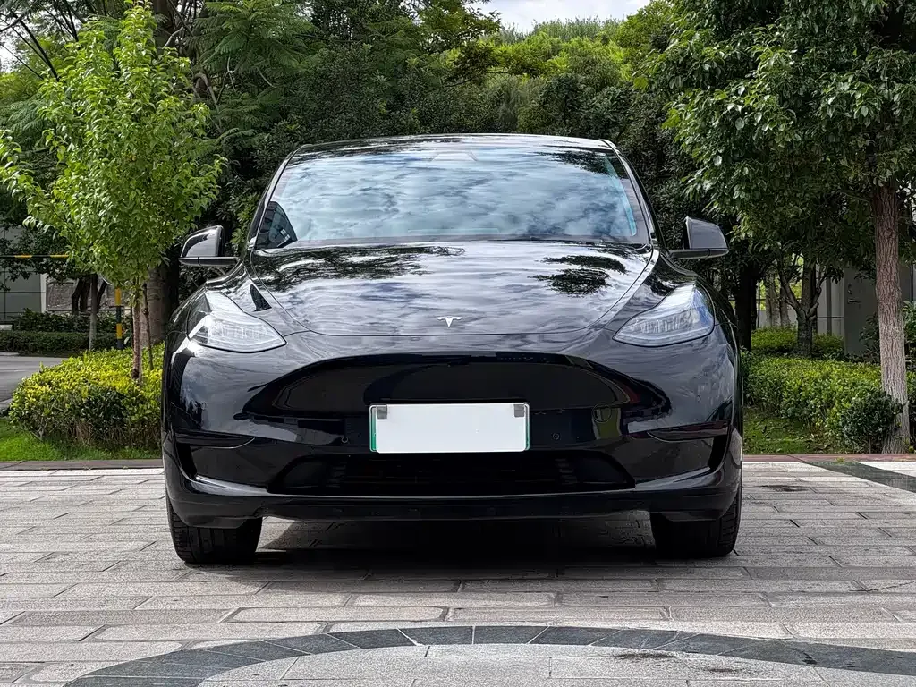 Tesla Model Y — фото 10