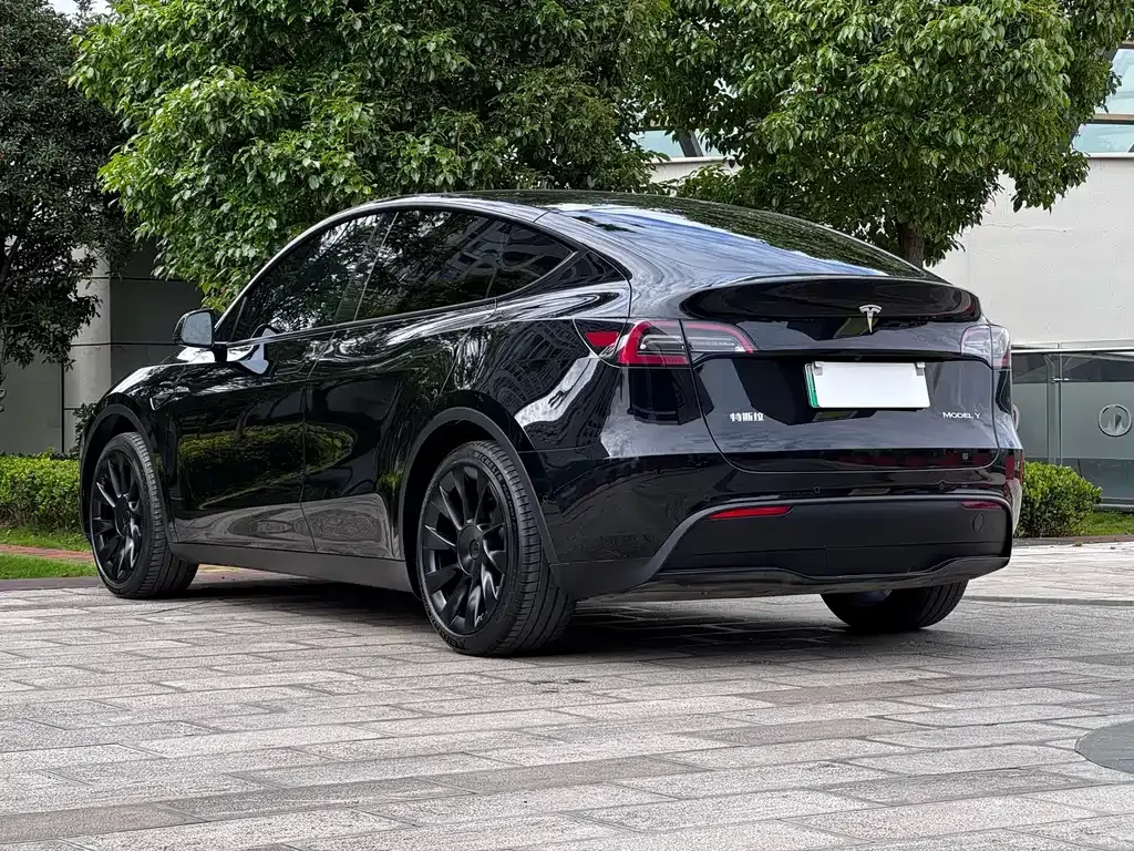 Tesla Model Y — фото 2