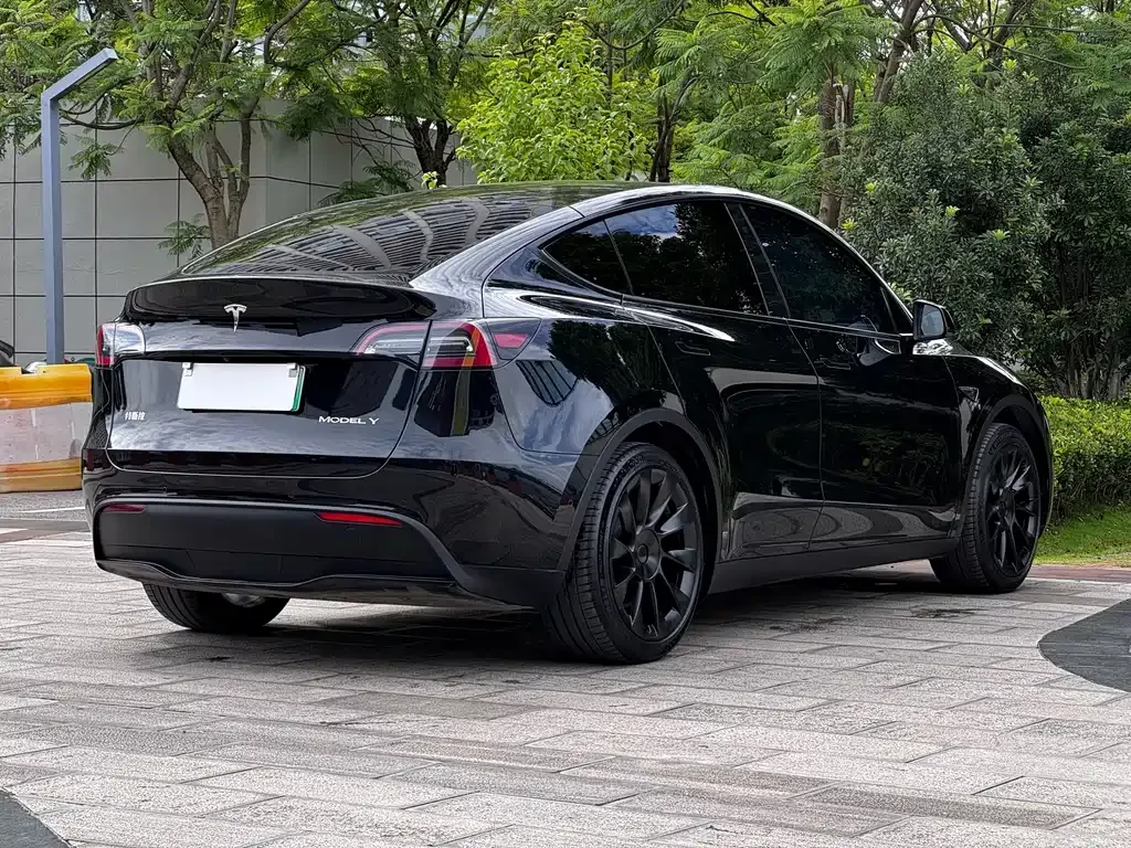 Tesla Model Y — фото 6