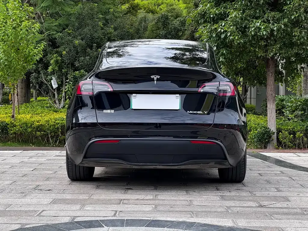 Tesla Model Y — фото 4
