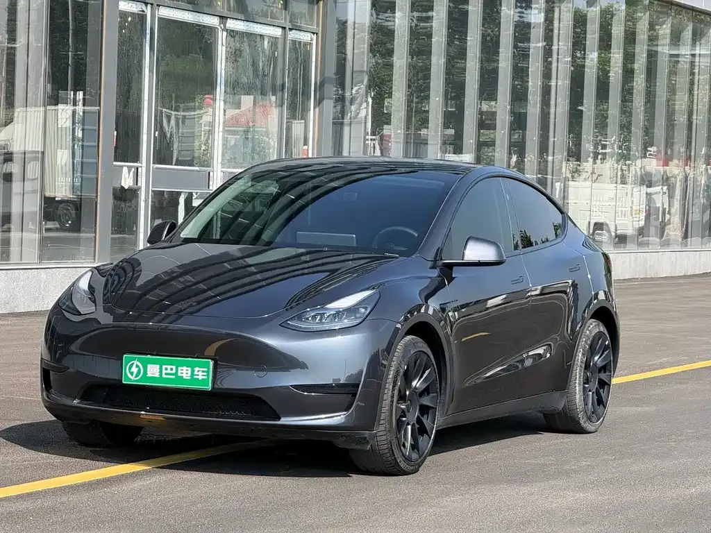 Tesla Model Y — фото 1