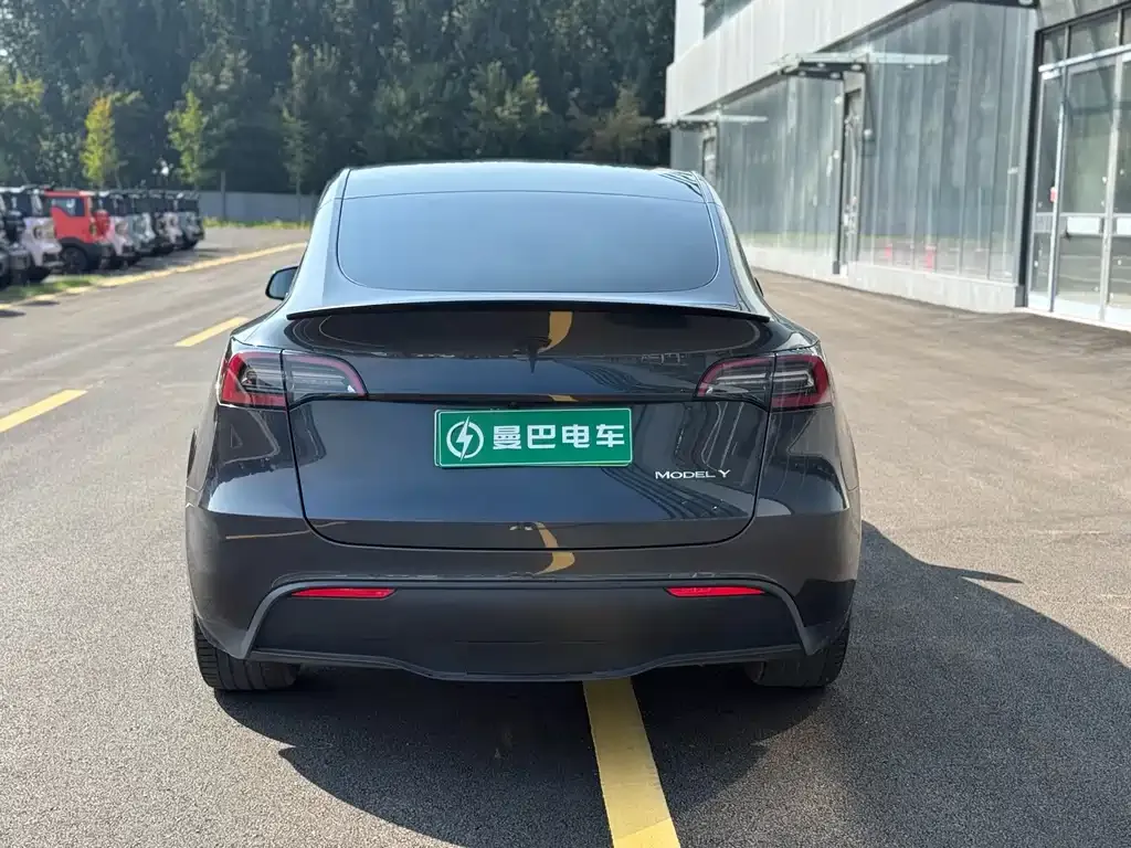 Tesla Model Y — фото 5